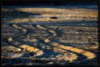 the beach