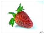 fragola