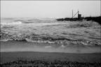 Coccia di morto