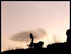 in un tramonto nella mia Roma, nell'osservare delle vecchie rovine mi acccorgo che in cielo ci sono dei cavalli che portano degli angeli. E' la libert che non scende mai tra di noi, ma siamo noi a doverci innalzare a conquistarla...