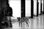 Torino, 11-03-07 (3)