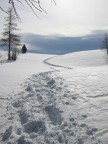Sulla via del Col di Lana