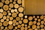 Solo legno