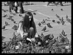 a raccolta da me...