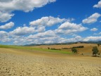 Siena... Chianti

Commenti ed altro sono ben accetti