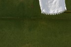il verde