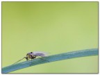 Eos 350d 180 macro 1/30sec f 14 iso 200