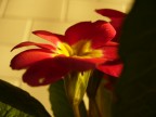 Un paio di giorni fa ho preso una Panasonic Lumix DMC-LZ5.
Ecco uno dei primi scatti!

Sono molto, molto molto graditi suggerimenti!