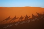 ...visto che la luce nel deserto  veramente troppo forte e  filtri ND non ho, ho provato a concentrarmi sulle ombre...non mi spiego il rumore......???