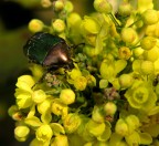 Nel giallo!!