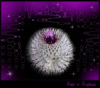 fiori e fantasia