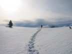 Fuori dai soliti sentieri