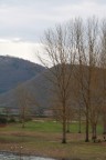 tranquillita'