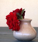 rosa rossa