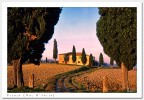 Casolare con Cipressi