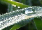riflessi del mattino