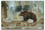 l'orso