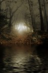 Alma Tadema forest
