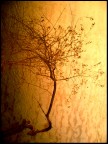 Tra Mare e Cielo, Luce e Abisso