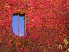 Allegria autunnale