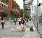 Buenos Aires - Puerto Madero. I dog sitter sono frequenti in citt.