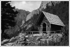 legno e roccia 2