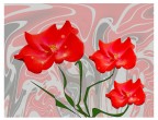 fiori e fantasia2