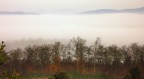 nebbia