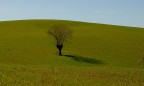 Prati
