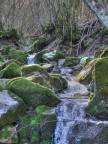Fiume