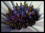 Il cuore delle cose