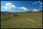 Chianti DOCG
