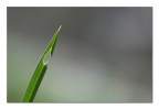 Il buco con la foto attorno