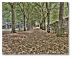Green HDR