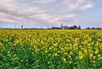 HDR da Raw, campagne di S.Alberto di Ravenna