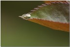 Altra angolatura.....