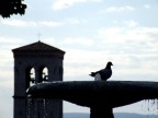 Manuale f4,9 1/500 iso 80