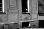Roberto Licata - Gallerista