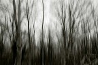 Graffiano il cielo