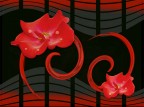 fiori e geometrie 2