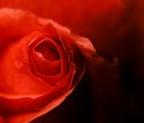 Rosso e nero!