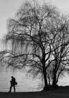 Untitled #2