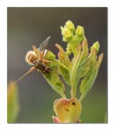 aggrappata fino alla fine