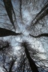 su verso il cielo