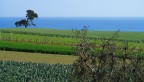 La terra e il mare
