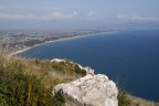 golfo