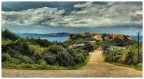 Cartolina