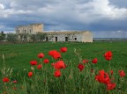 Casale Ruvese