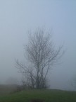 nebbia...