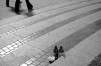 passi e bottiglie